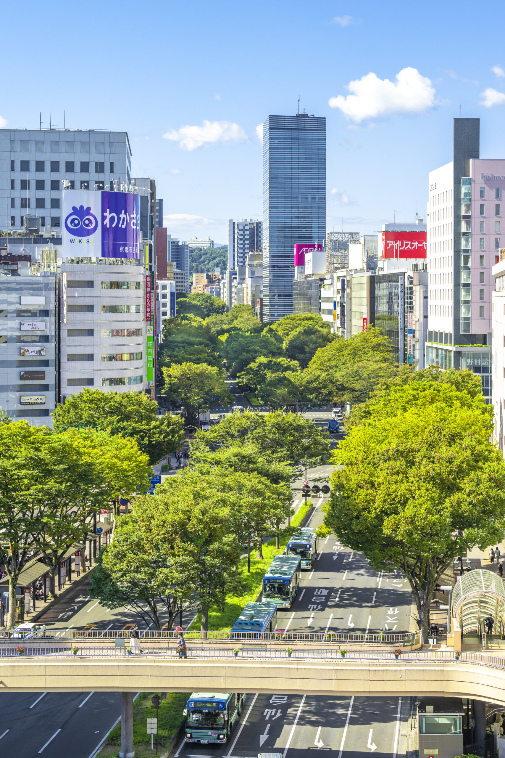 About Sendai City